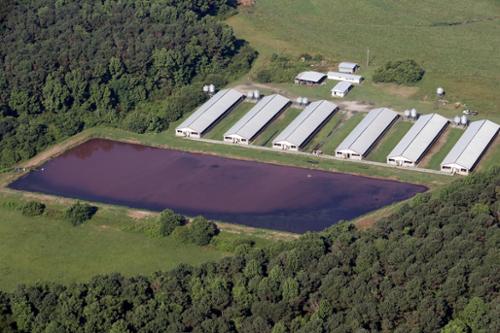 Many, if not most, lagoons are in trouble in eastern NC with sludge buildup.